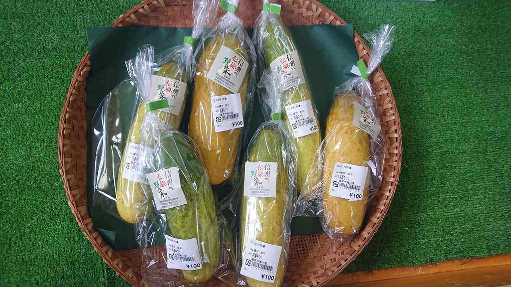 信州の伝統野菜「羽淵キウリ」